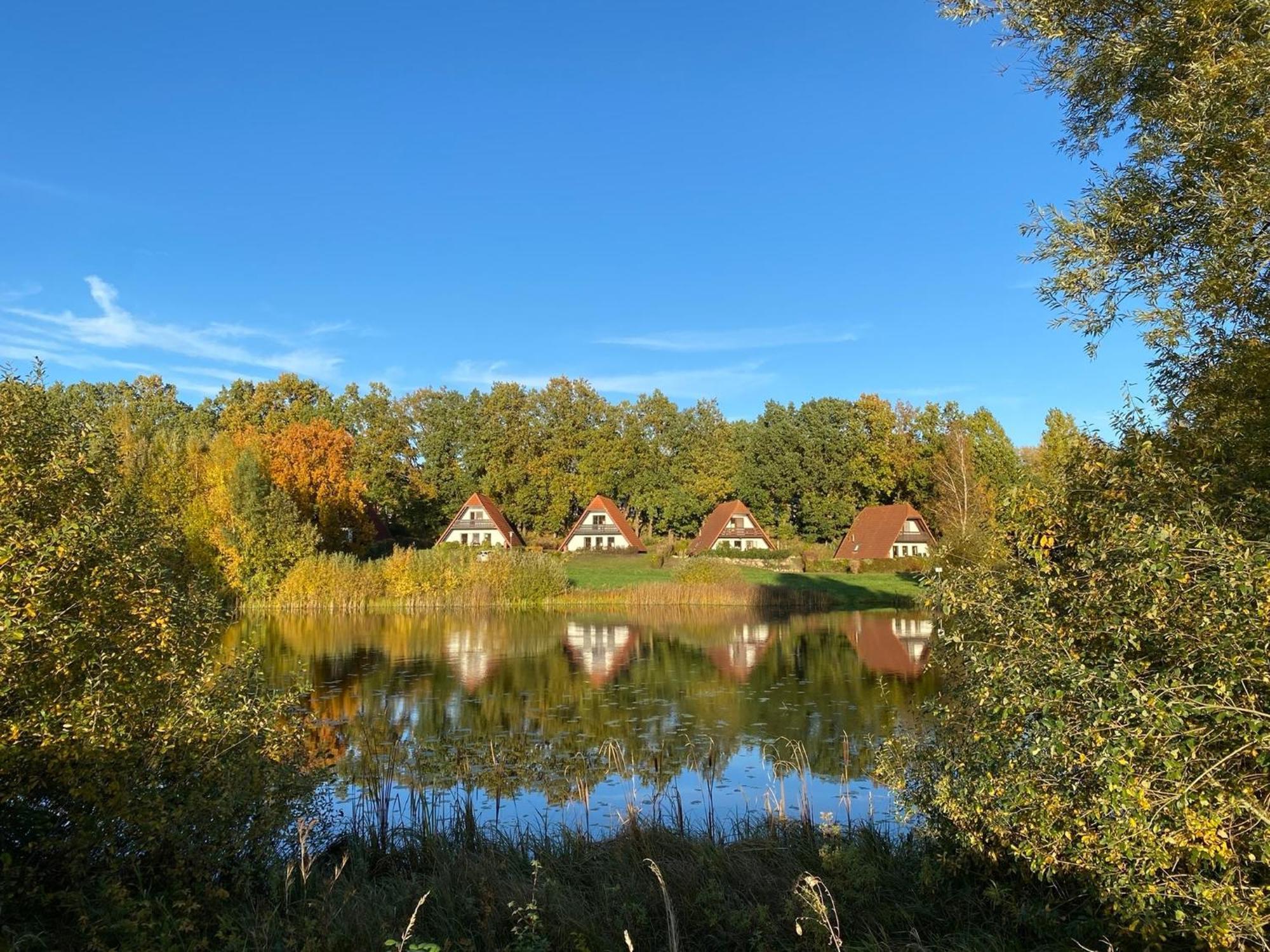 מארלו Finnhaeuser Am Vogelpark - Haus Luise מראה חיצוני תמונה